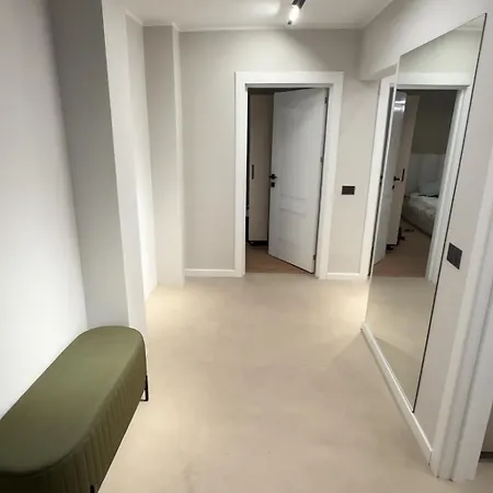 Musa - Brand New * Cluj-Napoca